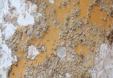Как избавиться от плесени на бетоне?